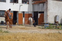 /album/fotogalerie-areal/dsc-0152-jpg1/